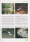 Preview: Taxonomy, Life History and Conservation of Giant Reptiles in West Kalimantan